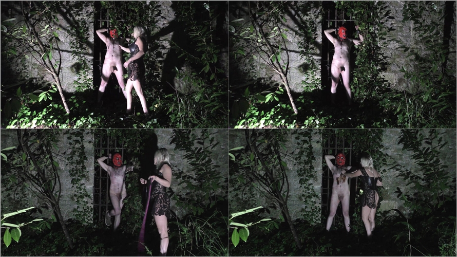 SophieShox - LATENIGHT BALLBUSTING
