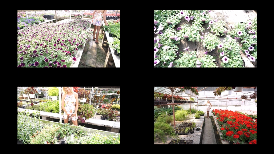 HOLLYHOTWIFE - Flashing At The Garden Center